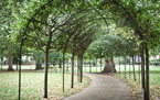 Green Park - London, England - 27/09/2011